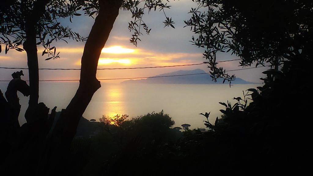 Villa Talea Sant'Agata sui due Golfi Luaran gambar